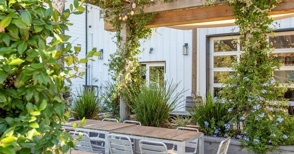 Estuary Beans and Barley