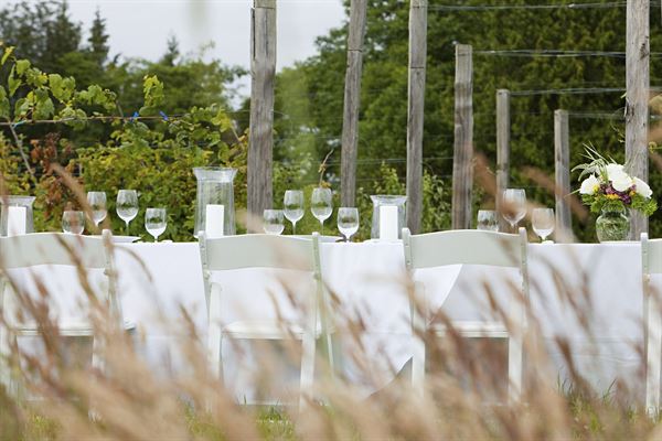 Culinary Search Group