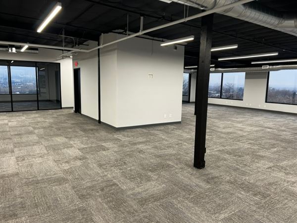 Penthouse Over Provo