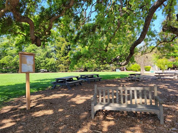 Holbrook - Palmer Park