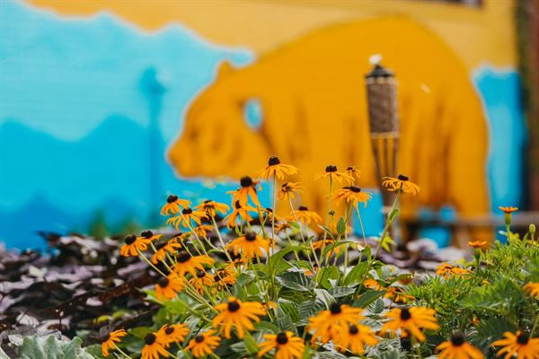 Trailside Brewing Co.