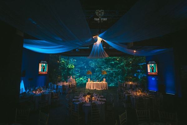 The Florida Aquarium