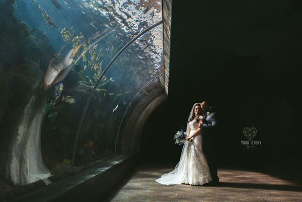 The Florida Aquarium