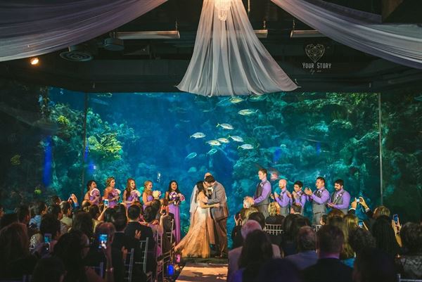 The Florida Aquarium