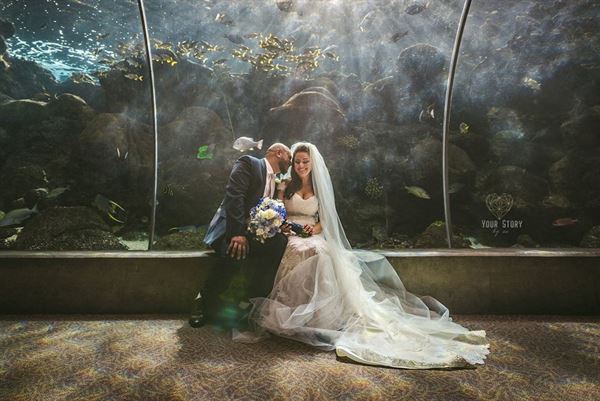 The Florida Aquarium