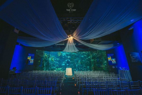 The Florida Aquarium