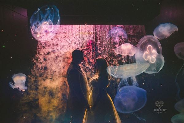 The Florida Aquarium