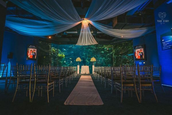 The Florida Aquarium