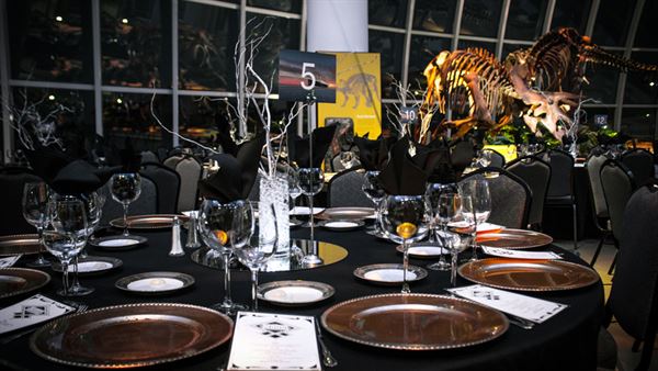 Discovery Park of America