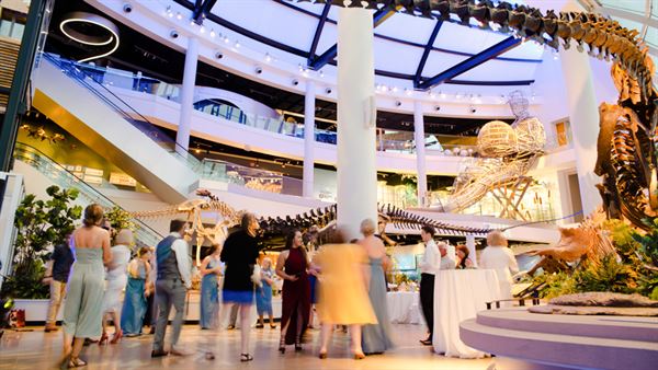 Discovery Park of America