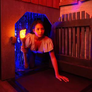 The Great Escape Room