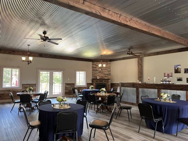 Alto Vineyards - Champaign