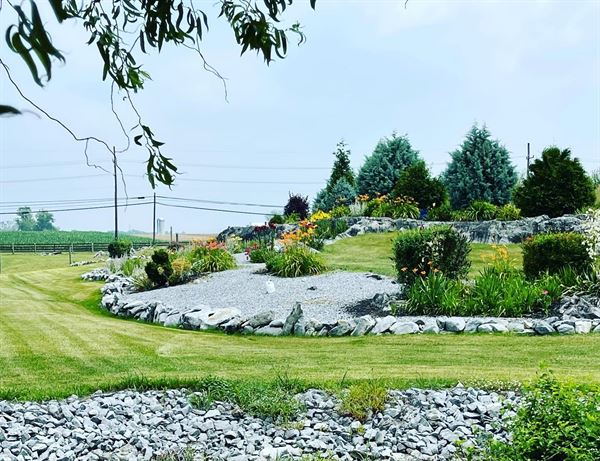 Elmwood Farm Bed & Breakfast