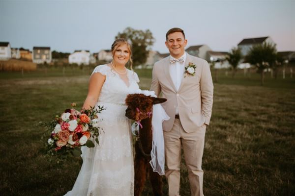 Elmwood Farm Bed & Breakfast