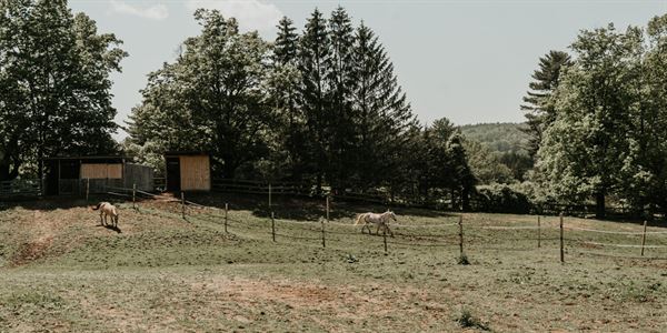 Rustic Ridge View Farm