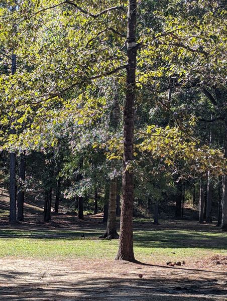 Luxor Retreat & Studio