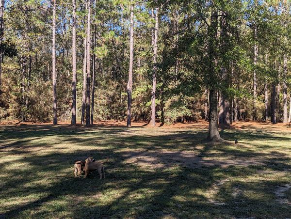 Luxor Retreat & Studio