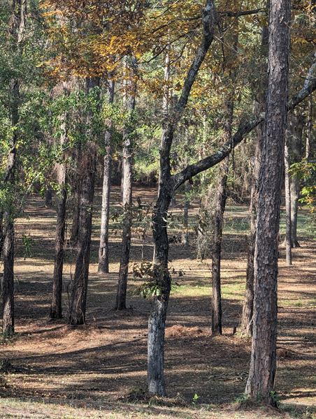 Luxor Retreat & Studio