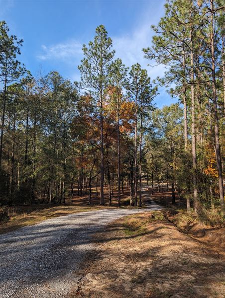 Luxor Retreat & Studio