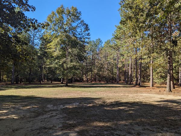 Luxor Retreat & Studio