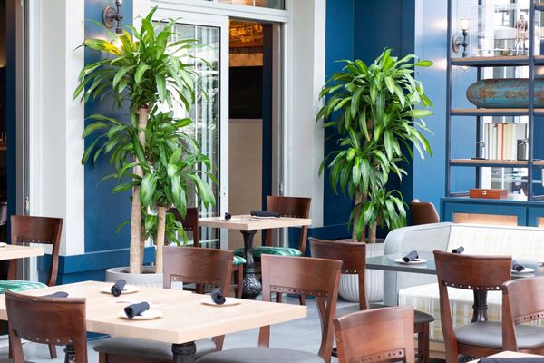 Hangar Two by Tangled Roots Brewing