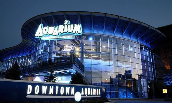 Downtown Aquarium Denver
