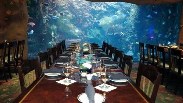 Downtown Aquarium Denver