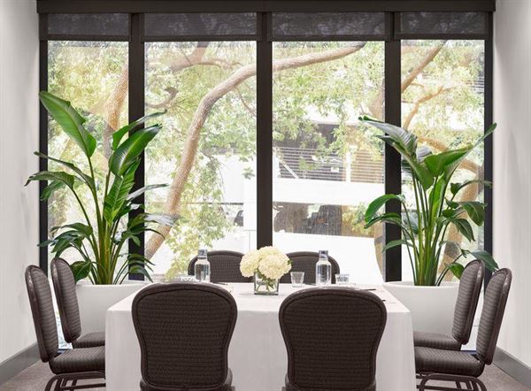 C. Baldwin, Curio Collection by Hilton