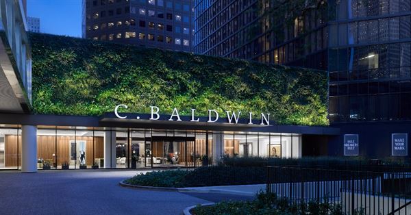 C. Baldwin, Curio Collection by Hilton