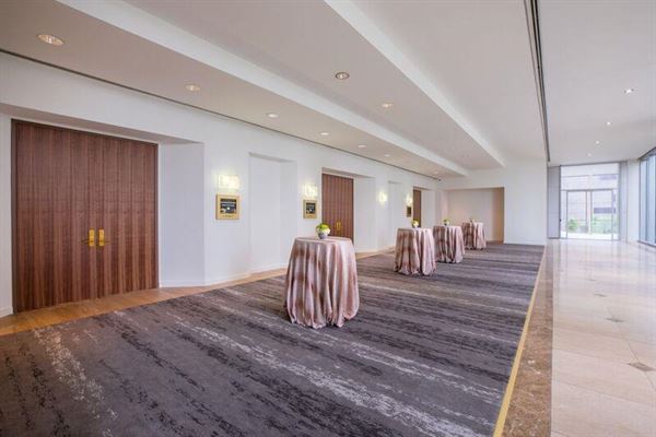 C. Baldwin, Curio Collection by Hilton