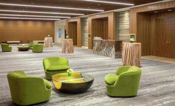 C. Baldwin, Curio Collection by Hilton