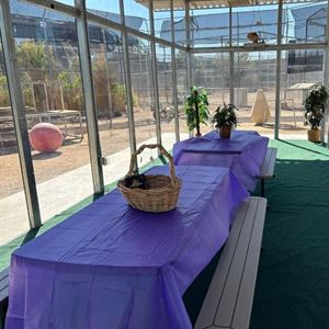 Feast with the Beasts