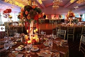 Samantha Goldberg & Co