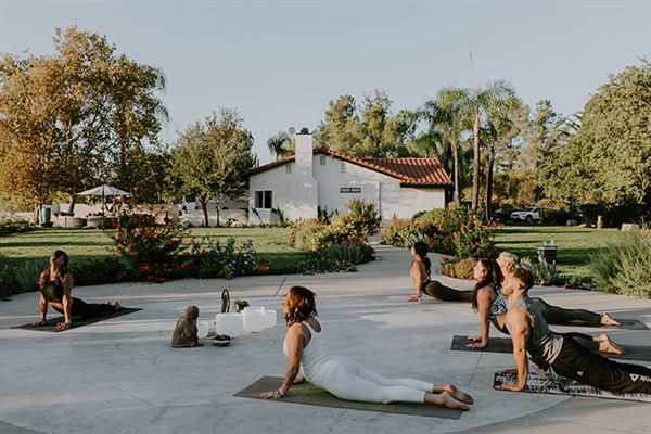 Divine Yoga Properties