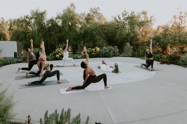 Divine Yoga Properties