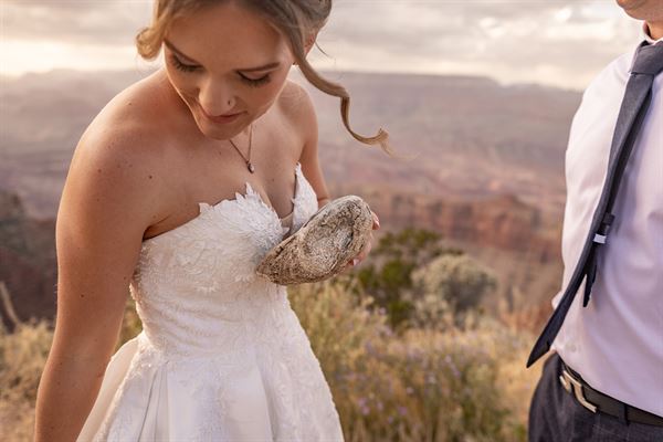 Terri Attridge Photography
