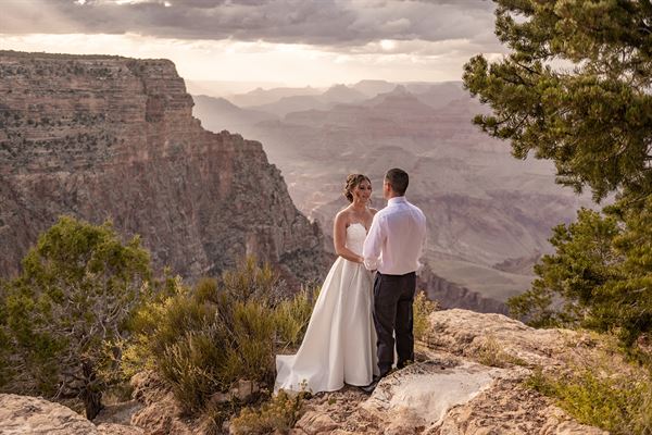 Terri Attridge Photography