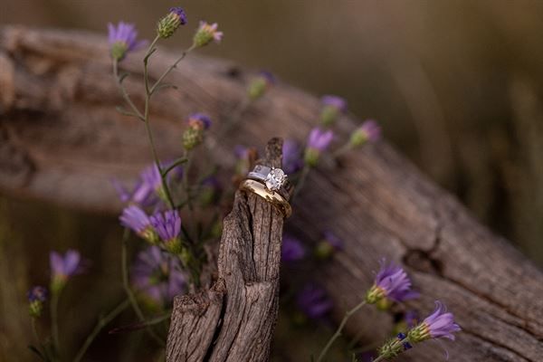 Terri Attridge Photography