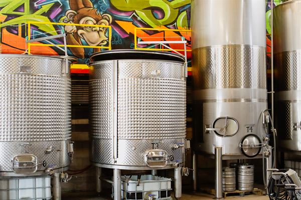 The Infinite Monkey Theorem