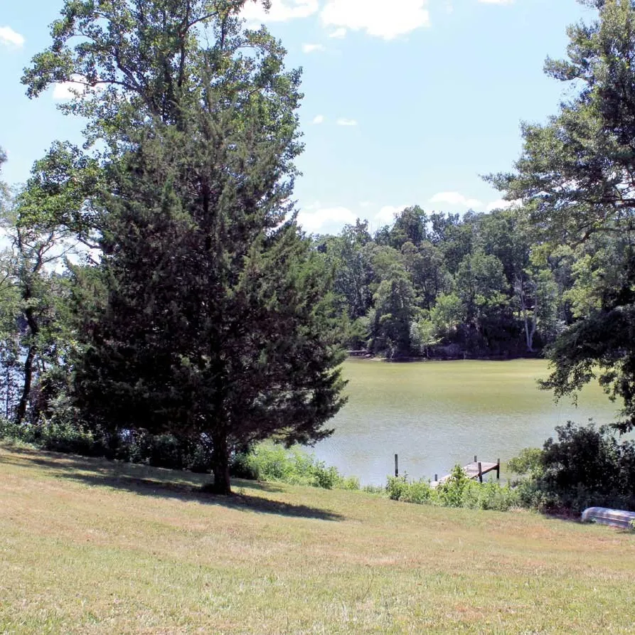 Rivah Vineyards at the Grove