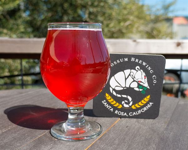 Old Possum Brewing Company