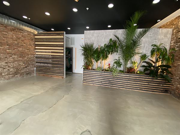 Broad & Eighth - Menta