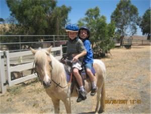 Tickle Me Pony Parties & Travelling Petting Zoo