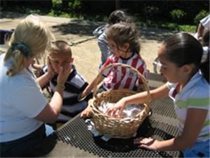 Tickle Me Pony Parties & Travelling Petting Zoo