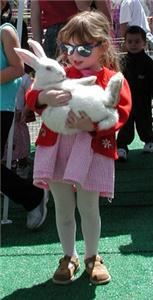 Tickle Me Pony Parties & Travelling Petting Zoo