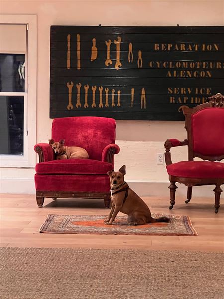 Belso Home and Garden