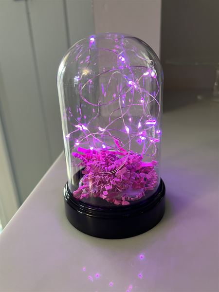 Dehlia’s Restaurant