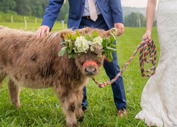 Paradise Family Farm