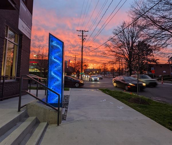 Southern Strain Plaza Midwood