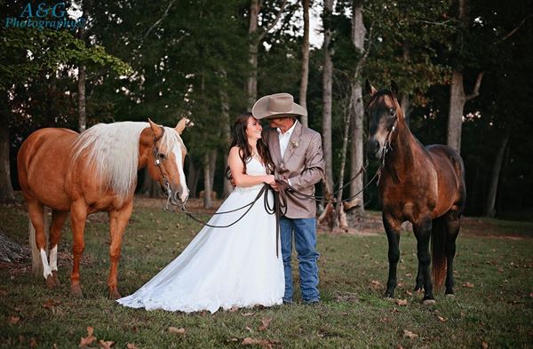 The Lodge on Hatley Farm